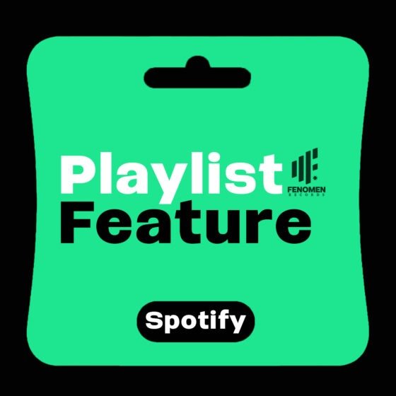 Playlist feature spotify